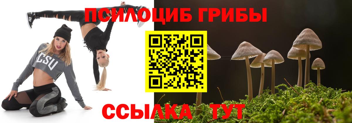Псилоцибиновые грибы GOLDEN TEACHER  Вход с VPN  Каменск-Шахтинский  Псилоцибиновые грибы ЛСД 